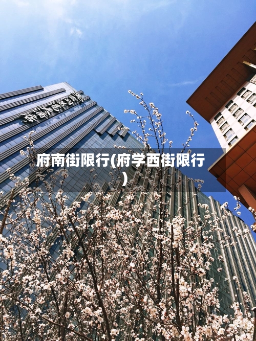 府南街限行(府学西街限行)