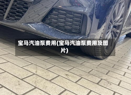 宝马汽油泵费用(宝马汽油泵费用及图片)