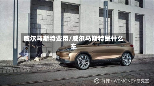 威尔马斯特费用/威尔马斯特是什么车-第2张图片
