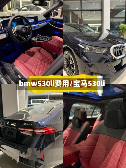 bmw530li费用/宝马530li-第2张图片