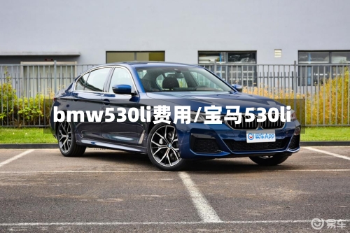 bmw530li费用/宝马530li-第3张图片