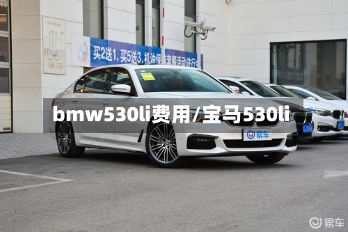 bmw530li费用/宝马530li