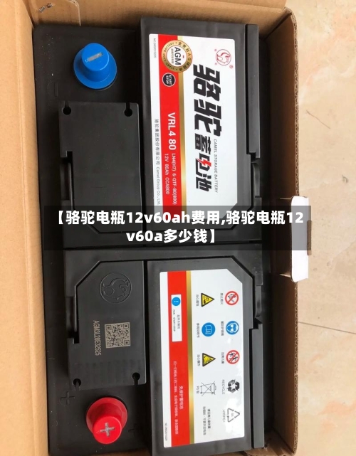 【骆驼电瓶12v60ah费用,骆驼电瓶12v60a多少钱】-第2张图片