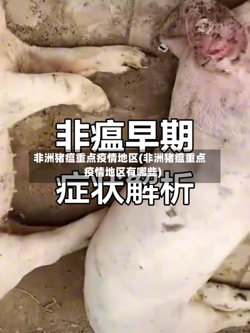 非洲猪瘟重点疫情地区(非洲猪瘟重点疫情地区有哪些)