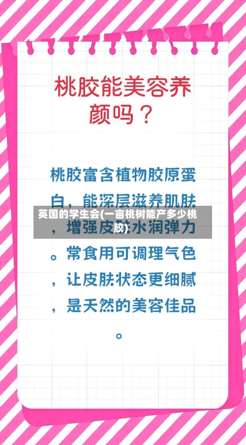 英国的学生会(一亩桃树能产多少桃胶)-第2张图片