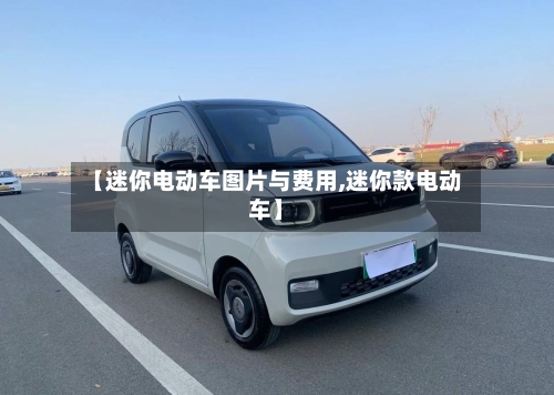 【迷你电动车图片与费用,迷你款电动车】
