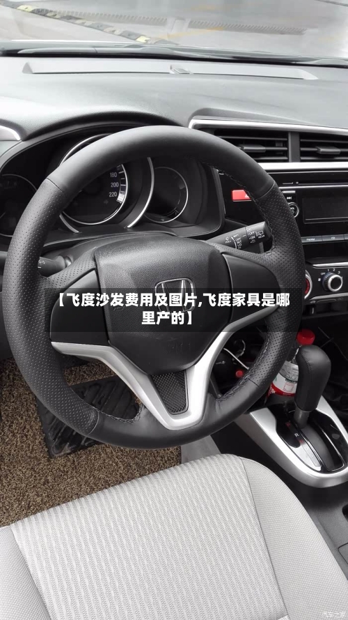 【飞度沙发费用及图片,飞度家具是哪里产的】