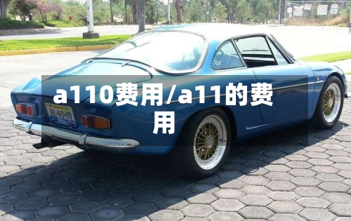 a110费用/a11的费用-第3张图片