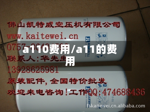 a110费用/a11的费用-第2张图片