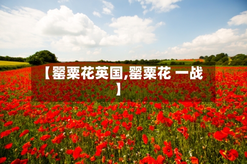 【罂粟花英国,罂粟花 一战】-第2张图片