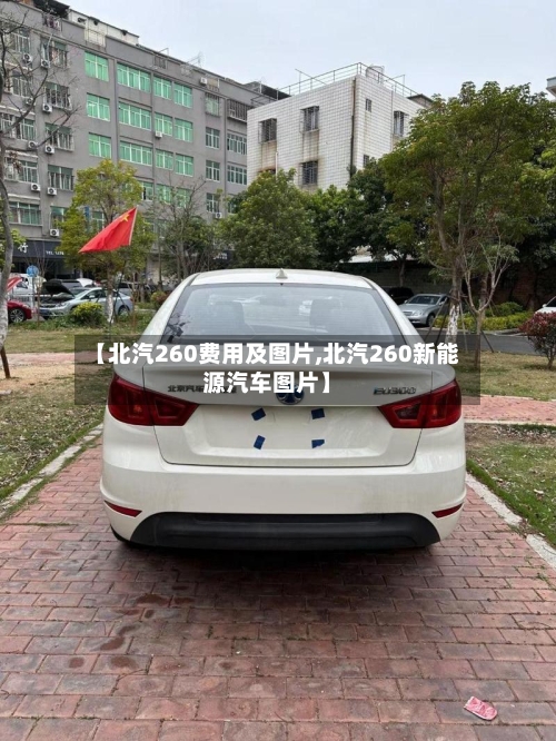 【北汽260费用及图片,北汽260新能源汽车图片】-第2张图片
