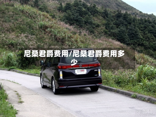 尼桑君爵费用/尼桑君爵费用多少-第3张图片