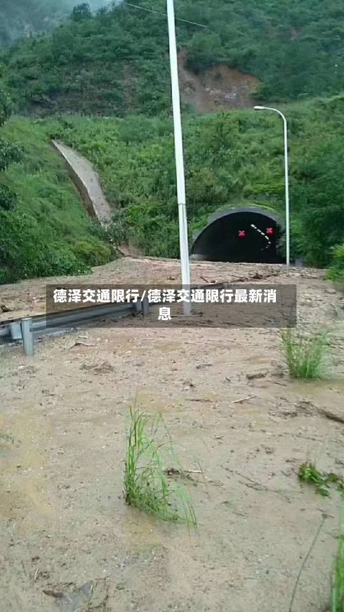 德泽交通限行/德泽交通限行最新消息-第2张图片