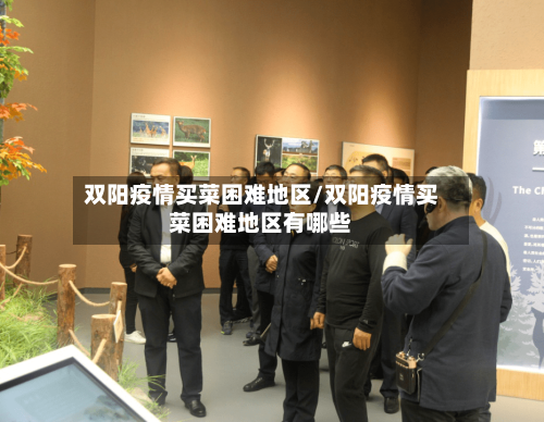 双阳疫情买菜困难地区/双阳疫情买菜困难地区有哪些-第2张图片