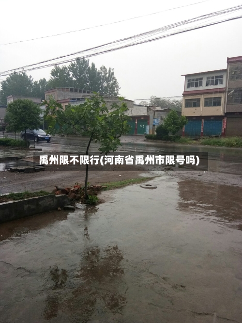 禹州限不限行(河南省禹州市限号吗)