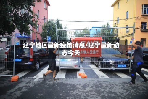 辽宁地区最新疫情消息/辽宁最新动态今天