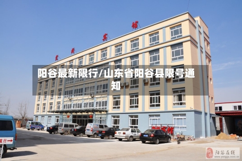 阳谷最新限行/山东省阳谷县限号通知-第3张图片