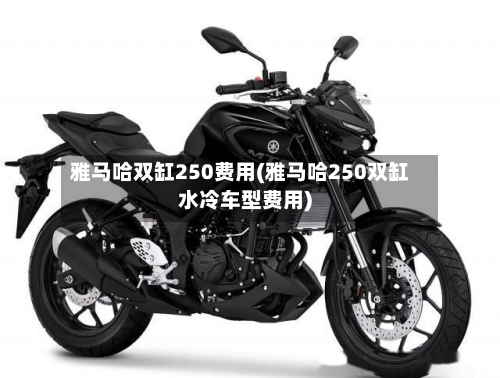 雅马哈双缸250费用(雅马哈250双缸水冷车型费用)-第2张图片