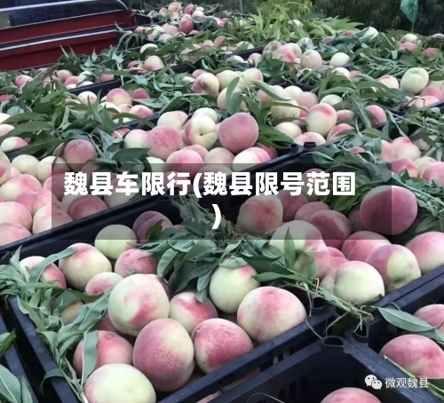 魏县车限行(魏县限号范围)-第2张图片
