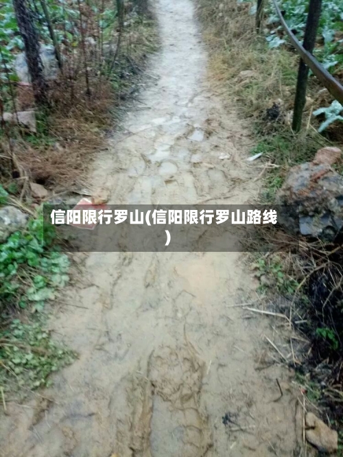 信阳限行罗山(信阳限行罗山路线)-第3张图片
