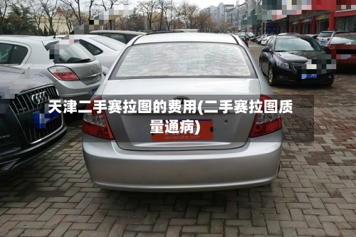 天津二手赛拉图的费用(二手赛拉图质量通病)-第2张图片