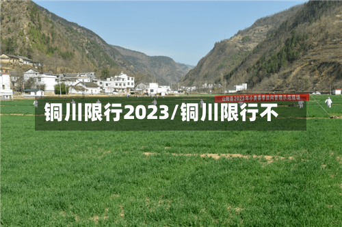 铜川限行2023/铜川限行不-第2张图片