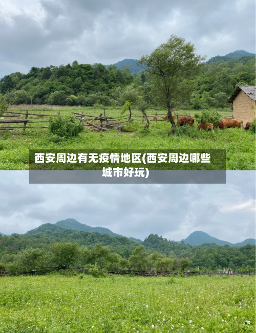 西安周边有无疫情地区(西安周边哪些城市好玩)