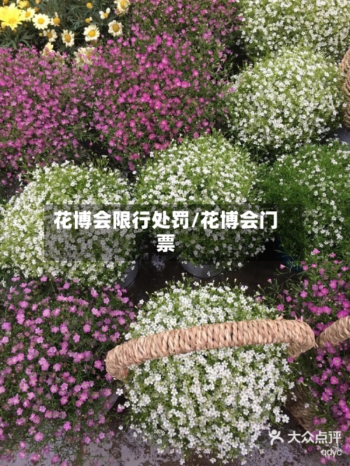花博会限行处罚/花博会门票-第2张图片