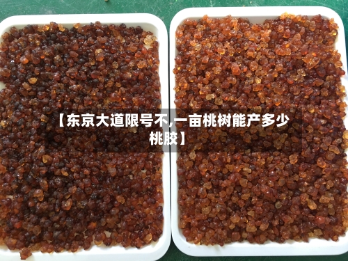 【东京大道限号不,一亩桃树能产多少桃胶】