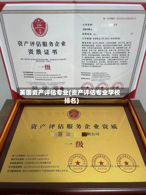 英国资产评估专业(资产评估专业学校排名)-第3张图片