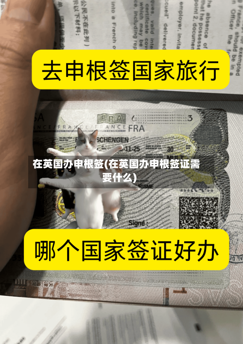 在英国办申根签(在英国办申根签证需要什么)-第2张图片