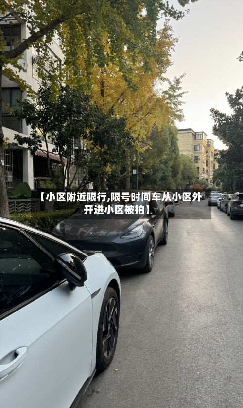 【小区附近限行,限号时间车从小区外开进小区被拍】