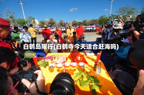 白鹤岛限行(白鹤寺今天适合赶海吗)-第2张图片