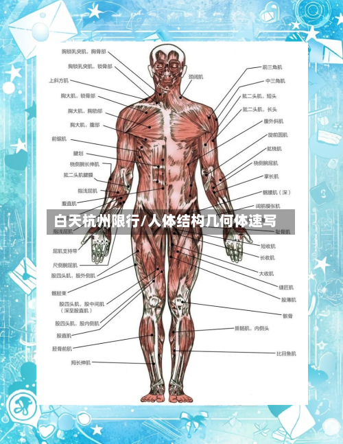 白天杭州限行/人体结构几何体速写-第2张图片