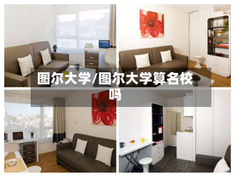 图尔大学/图尔大学算名校吗-第3张图片