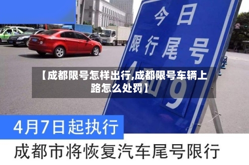 【成都限号怎样出行,成都限号车辆上路怎么处罚】