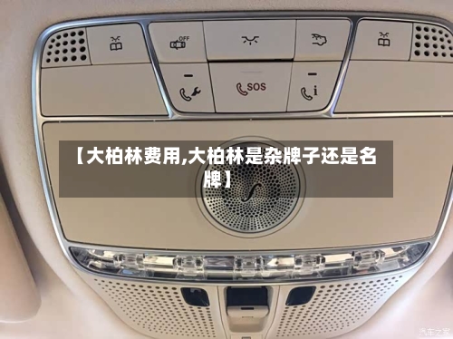 【大柏林费用,大柏林是杂牌子还是名牌】