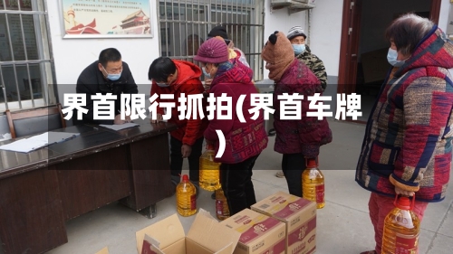 界首限行抓拍(界首车牌)-第3张图片