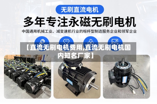 【直流无刷电机费用,直流无刷电机国内知名厂家】