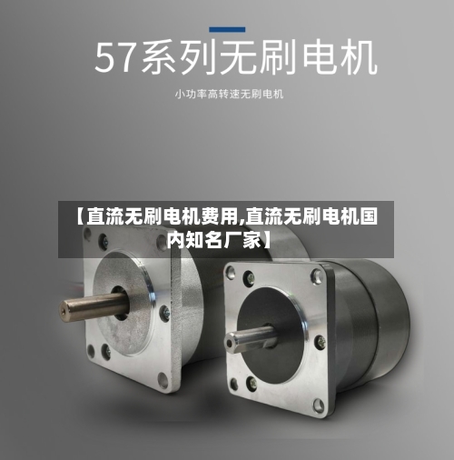 【直流无刷电机费用,直流无刷电机国内知名厂家】-第2张图片