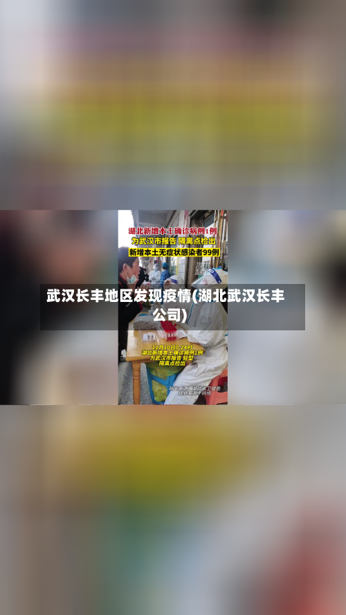 武汉长丰地区发现疫情(湖北武汉长丰公司)-第3张图片