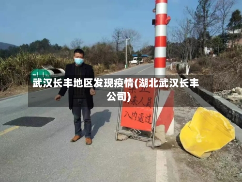 武汉长丰地区发现疫情(湖北武汉长丰公司)