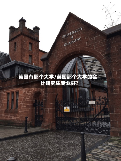 英国有那个大学/英国那个大学的会计研究生专业好?