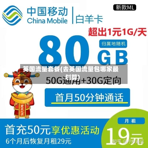 英国流量套餐(去英国流量包哪家最划算)