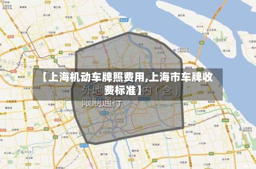 【上海机动车牌照费用,上海市车牌收费标准】-第3张图片