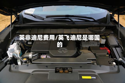 英非迪尼费用/英飞迪尼是哪国的-第2张图片