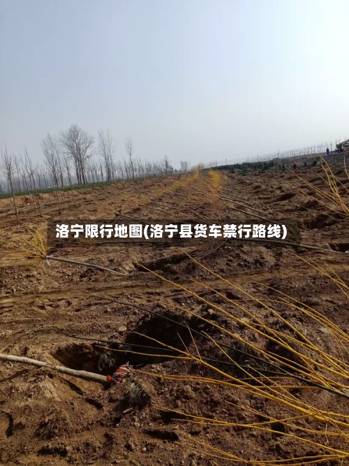洛宁限行地图(洛宁县货车禁行路线)-第2张图片