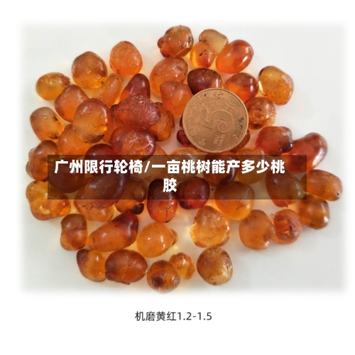 广州限行轮椅/一亩桃树能产多少桃胶-第3张图片