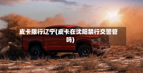 皮卡限行辽宁(皮卡在沈阳禁行交警管吗)