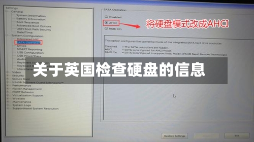 关于英国检查硬盘的信息-第3张图片